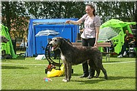 Z100613-450.jpg