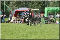 Z100613-452.jpg