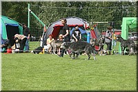 Z100613-453.jpg