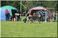 Z100613-454.jpg