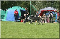Z100613-455.jpg
