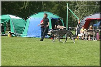 Z100613-456.jpg