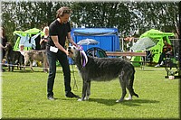 Z100613-460.jpg