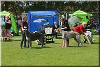 Z100613-462.jpg