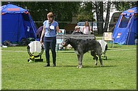 Z100613-463.jpg