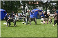 Z100613-464.jpg