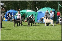 Z100613-465.jpg