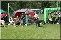 Z100613-466.jpg