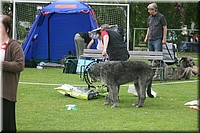 Z100613-468.jpg