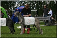 Z100613-469.jpg