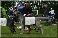 Z100613-470.jpg