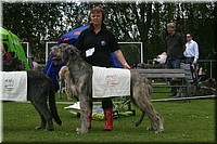 Z100613-471.jpg