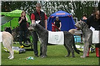 Z100613-472.jpg