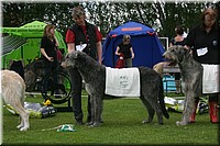 Z100613-473.jpg