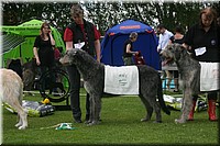 Z100613-474.jpg