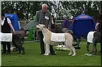 Z100613-475.jpg
