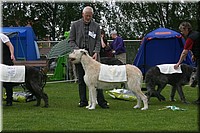 Z100613-476.jpg