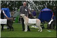 Z100613-477.jpg