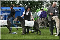 Z100613-478.jpg