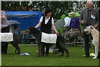 Z100613-479.jpg