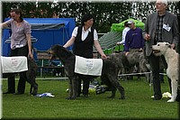 Z100613-480.jpg
