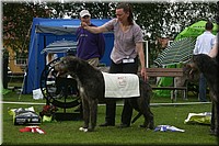 Z100613-481.jpg