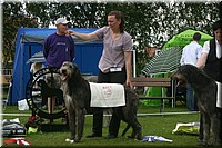 Z100613-483.jpg