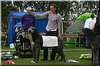 Z100613-484.jpg