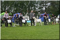 Z100613-485.jpg