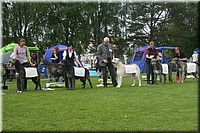 Z100613-486.jpg