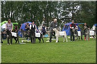 Z100613-487.jpg