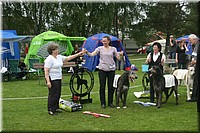 Z100613-490.jpg