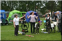 Z100613-491.jpg