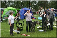 Z100613-493.jpg