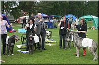 Z100613-494.jpg