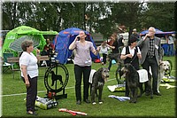 Z100613-496.jpg