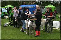 Z100613-498.jpg