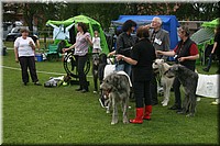 Z100613-499.jpg