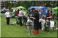 Z100613-500.jpg