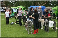 Z100613-501.jpg