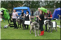 Z100613-502.jpg
