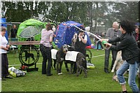 Z100613-503.jpg