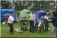 Z100613-504.jpg