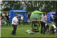 Z100613-506.jpg