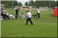 Z100613-531.jpg